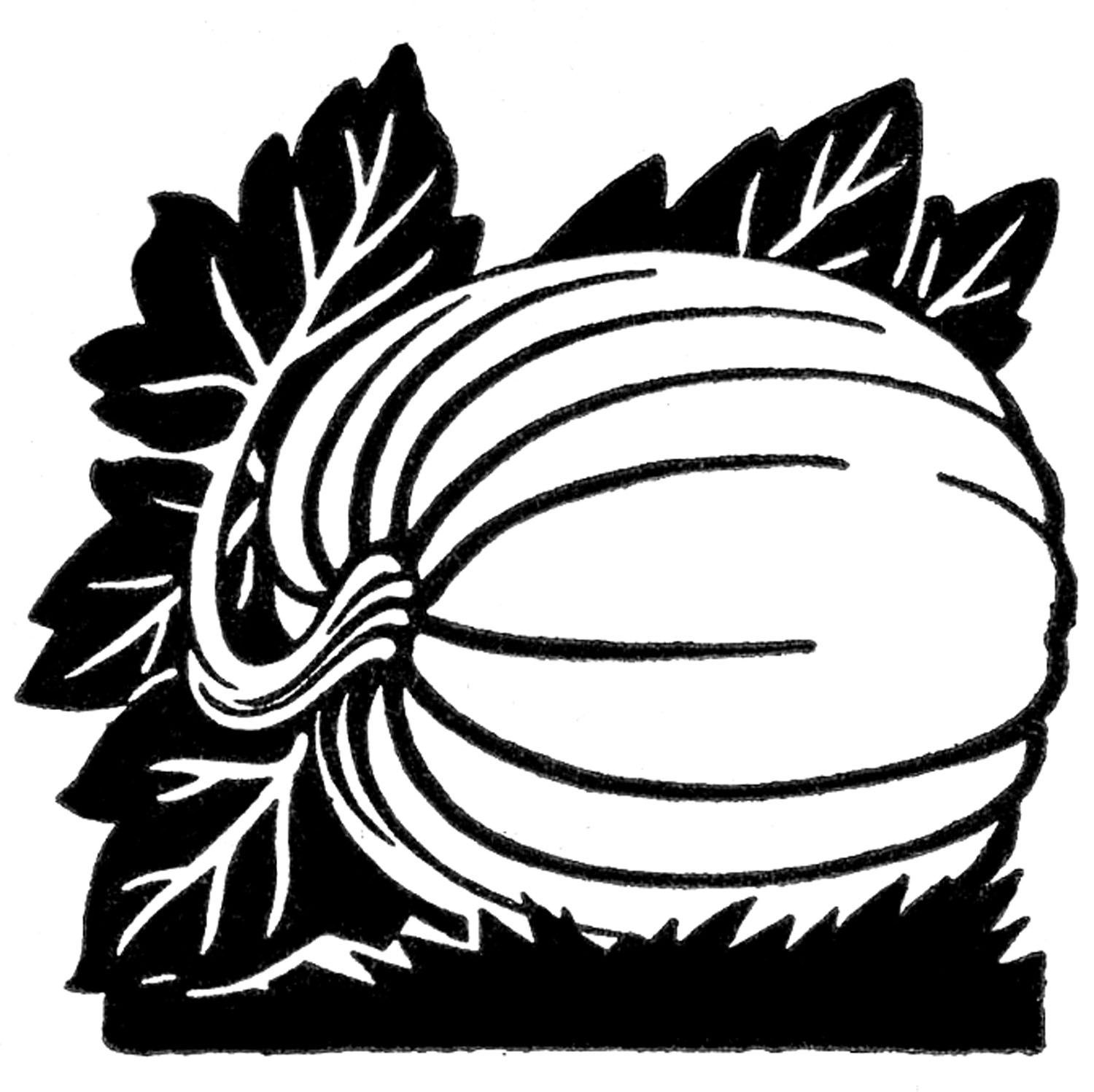 free black white pumpkin clip art - photo #25