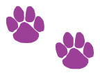 25 purple paw print sport school spirit temporary tattoos