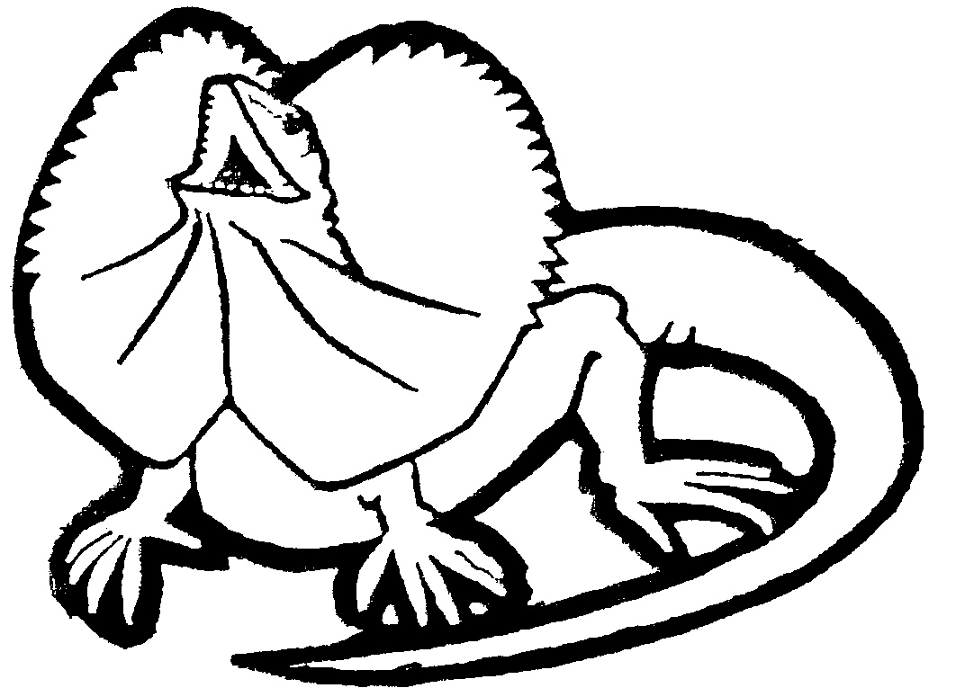 FRILL-NECK LIZARD by Hatterbourne Pty Ltd - 520899 - ClipArt Best ...