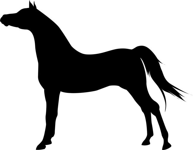 Horse Stencils ClipArt Best