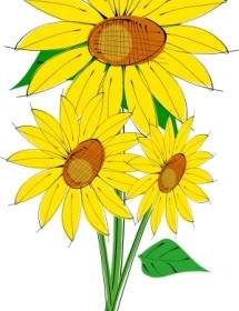 Gambar Cartoon Bunga Matahari Clipart Best