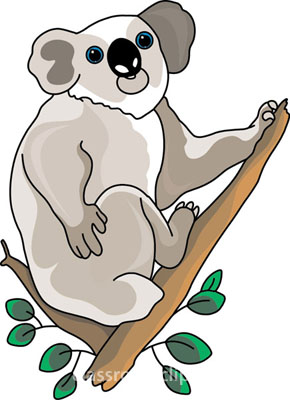 Koala Clipart : Koala_bear_in_tree_212_1 : Classroom Clipart