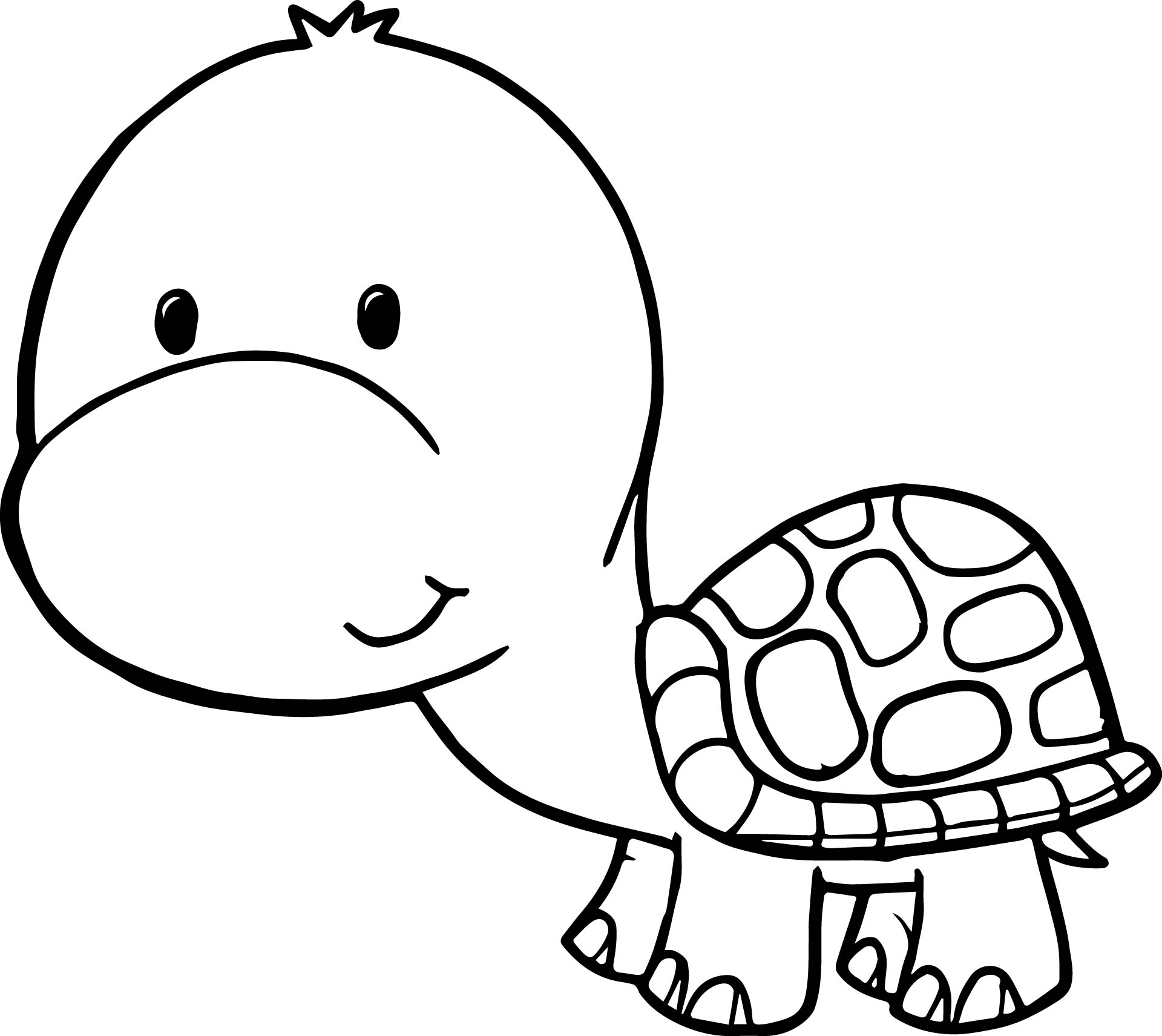 Cute Free Tortoise Turtle Coloring Page | Wecoloringpage - ClipArt Best