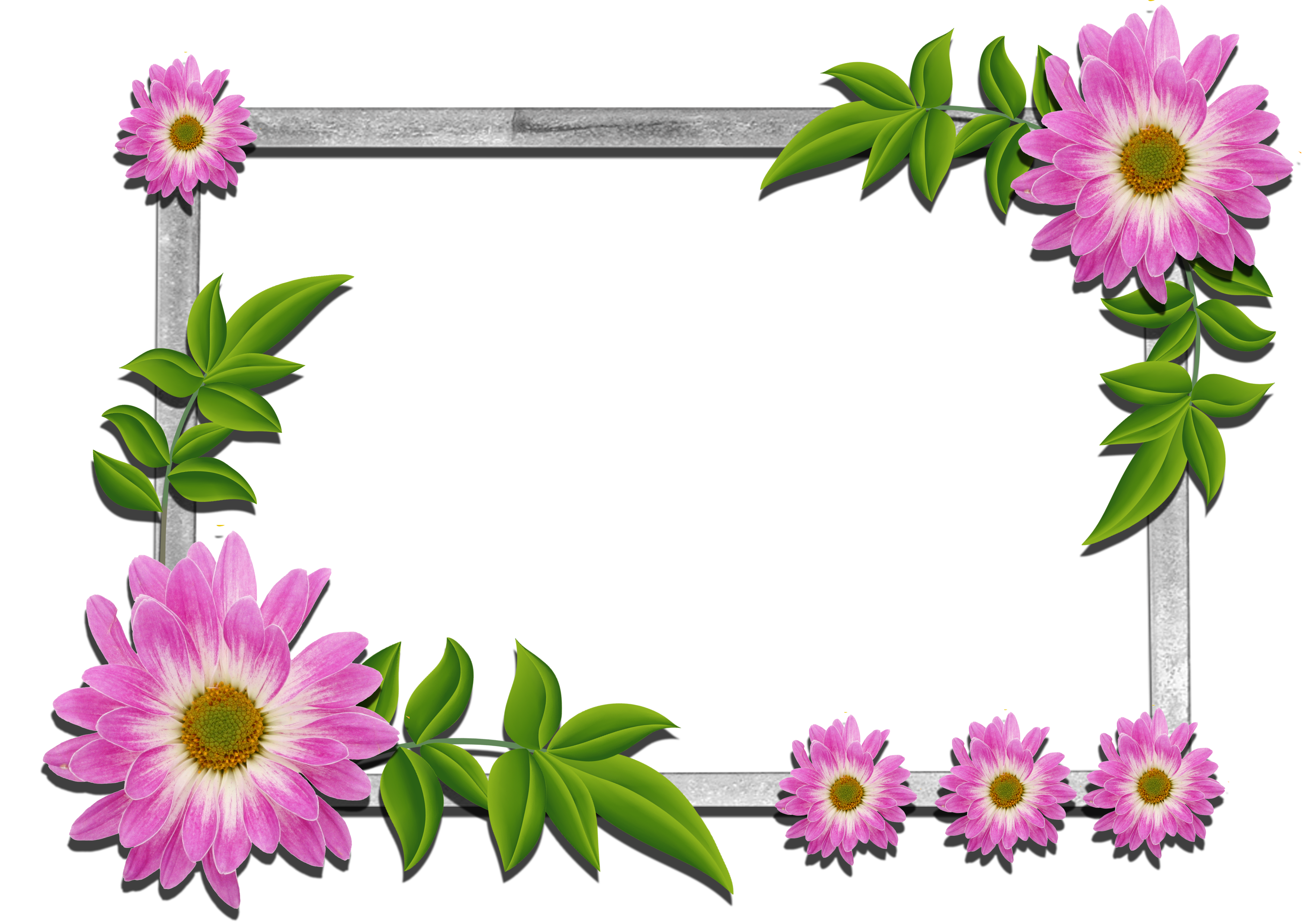 free clipart frames flowers - photo #46