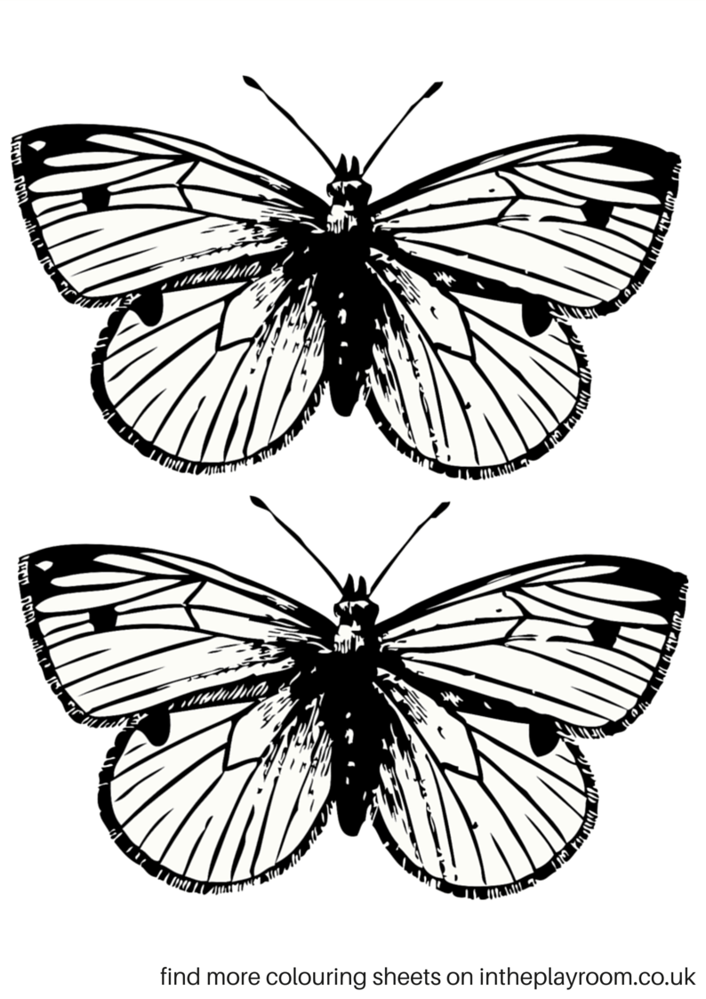 Free Printable Butterfly Colouring Pages - In The Playroom