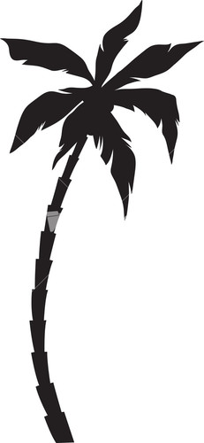 Palm Tree Royalty-Free Vectors, Illustrations and Photos