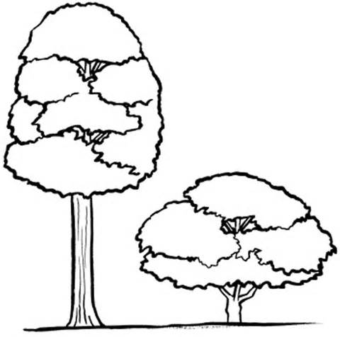 Tall and short tree clipart