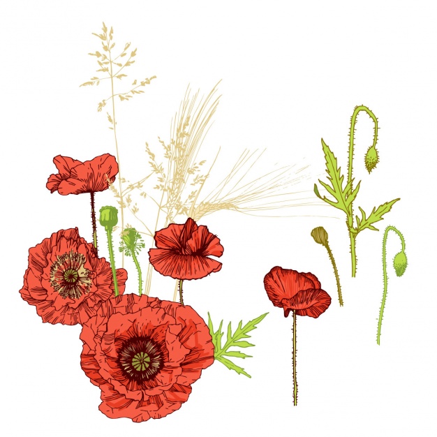 Floral background design Vector | Free Download