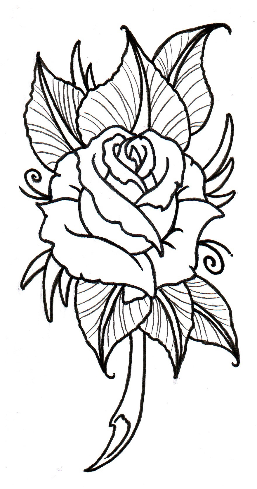 Free Rose Tattoo Design | Fresh 2017 Tattoos Ideas