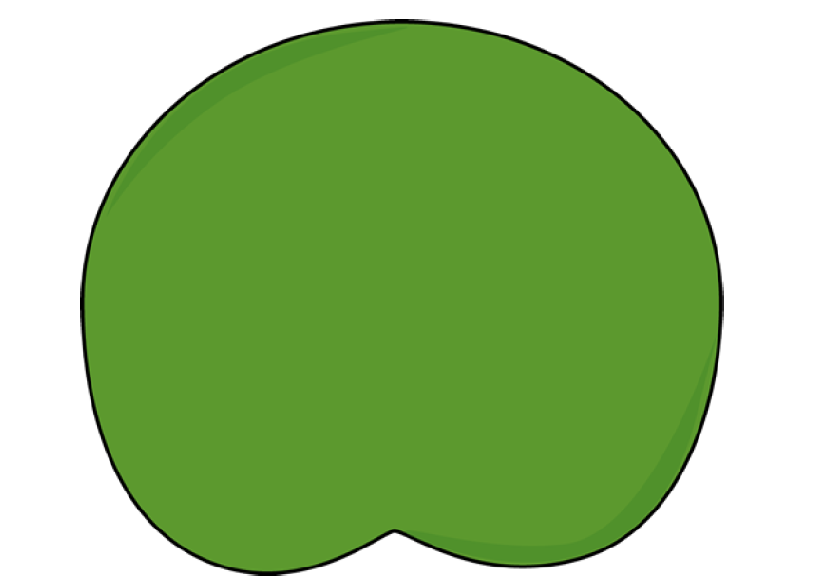 lily-pad-template-clipart-best