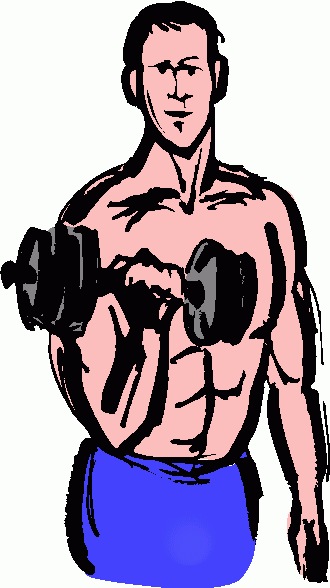 Clipart lifting weights