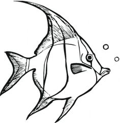 How to draw, Tropical fish and Tropical