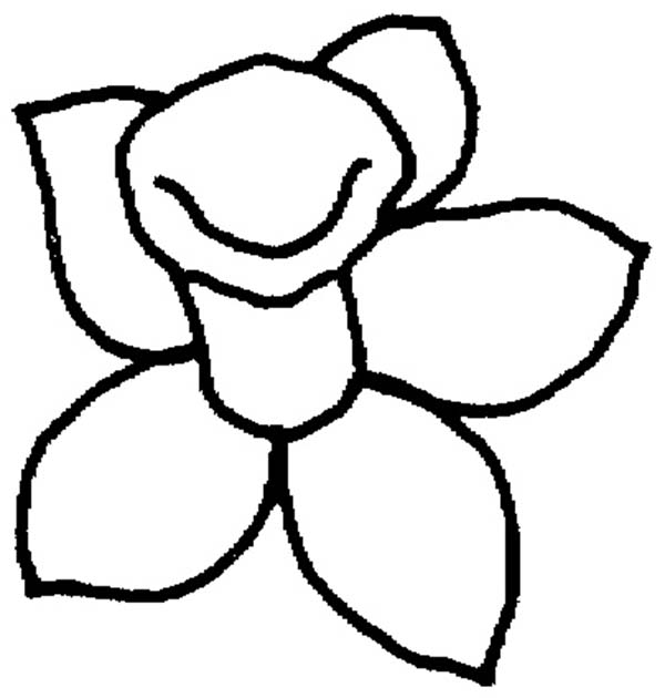 Daffodils, Coloring pages and Coloring