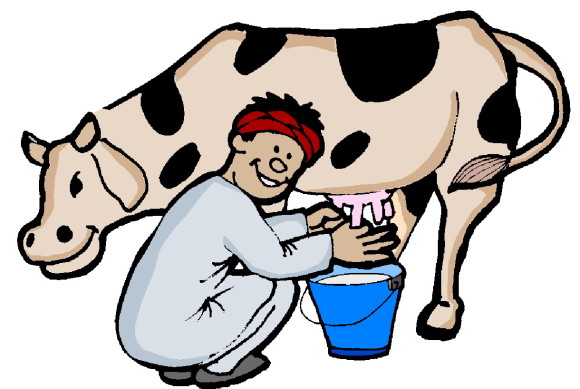 Milk a cow clipart free