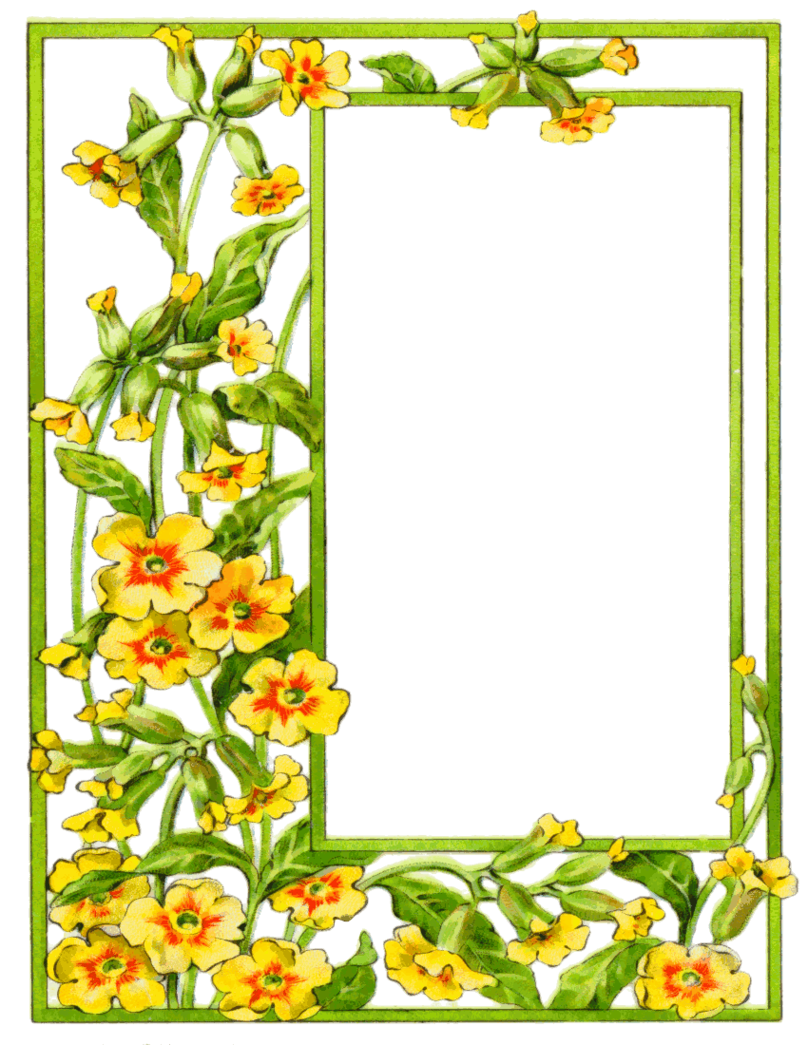 Flower Frame Clipart Bright Summer Flowers Border Clipart - Free ...