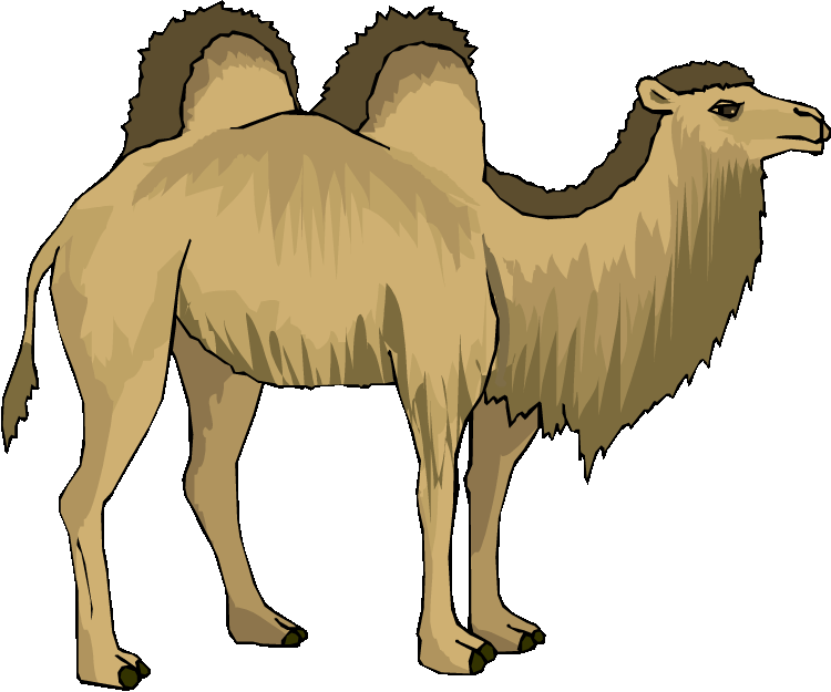 Camel clip art at vector free 2 image - Cliparting.com