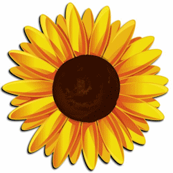 Sunflower Cartoon - ClipArt Best