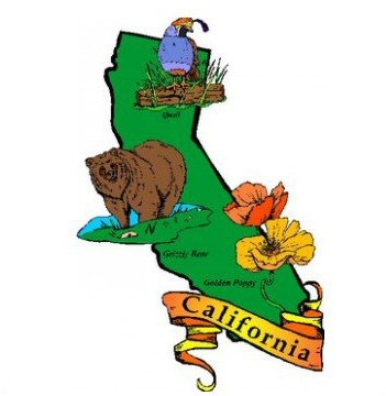 California State Flower Clipart