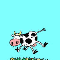 Animated Cow Pictures, Images & Photos | Photobucket