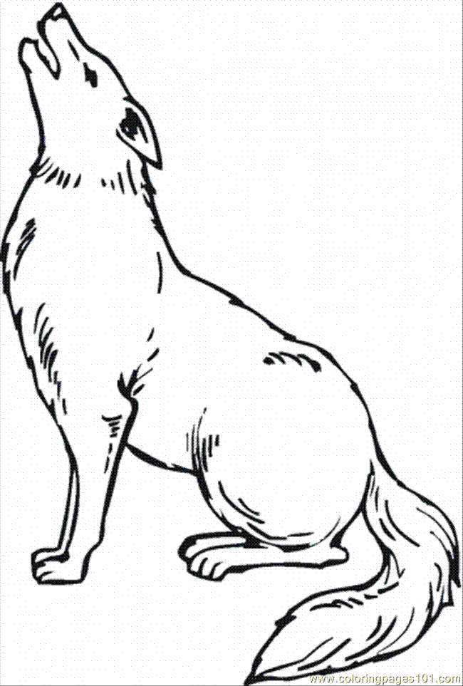 Howling coyote clip art vector clipart for you image #31689