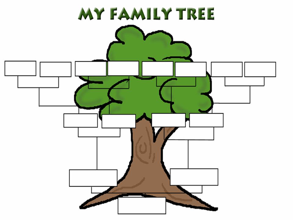 blank-family-tree-clipart-best