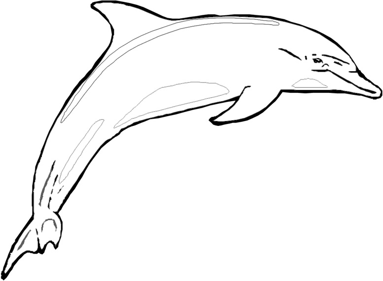 ocean shark coloring pages - photo #14