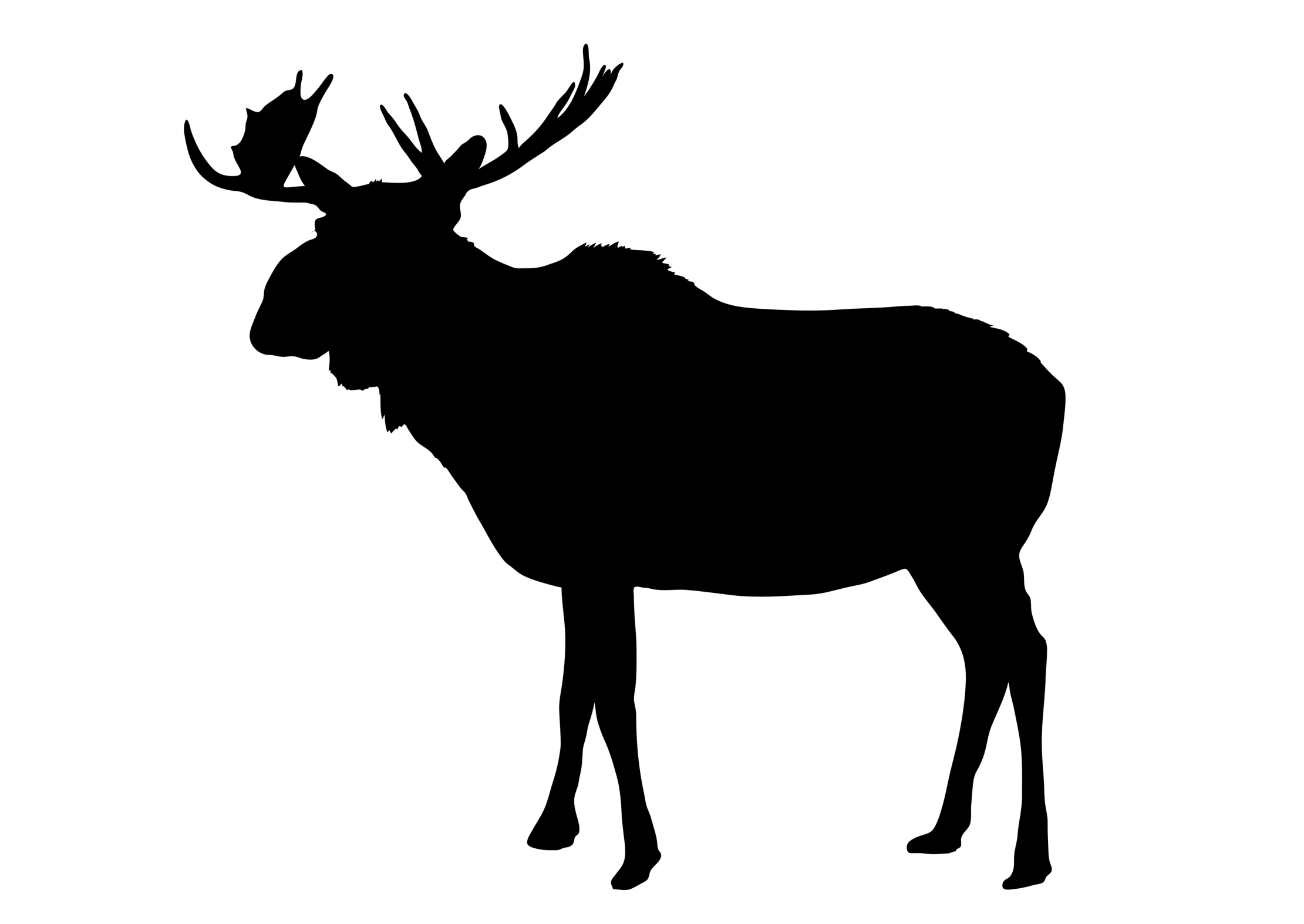 Vector Silhouette Moose - Quoteko.