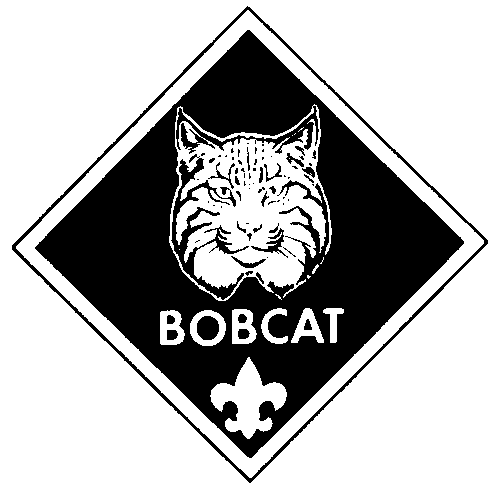 My Scouting Web Pages: Original BSA Clipart Images