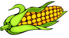 Cricklewood Corn Maze