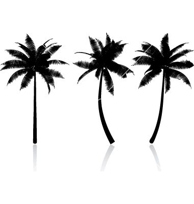 Palm Tree Tattoos | Tree Tattoos ...