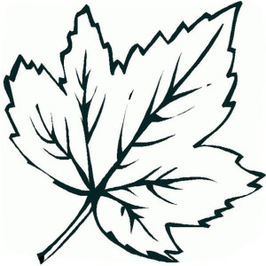 Fall Maple Leaf Coloring Page: Fall Maple Leaf Coloring Page ...
