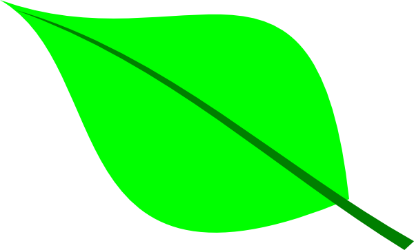 Green Leaf Clip Art - vector clip art online, royalty ...