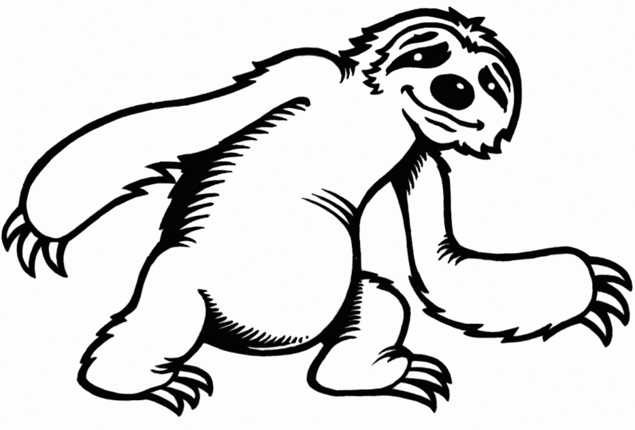 Sloth Outline Clipart - Free to use Clip Art Resource