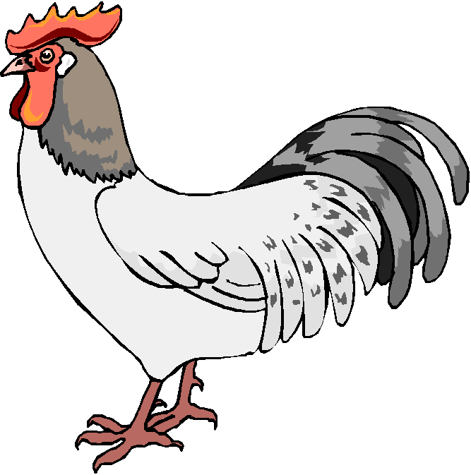 clipart chicken free - photo #36