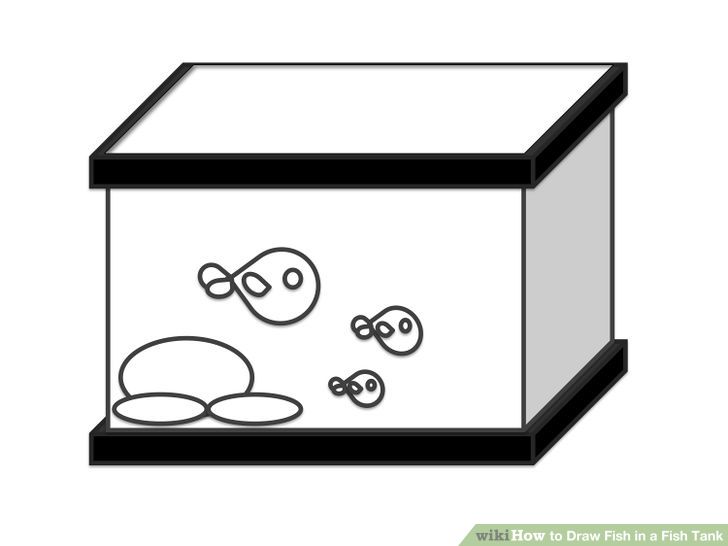 How to Draw Fish in a Fish Tank: 7 Steps (with Pictures) - wikiHow