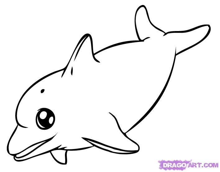 Line Drawing Dolphin : Dolphin line drawing clipart best