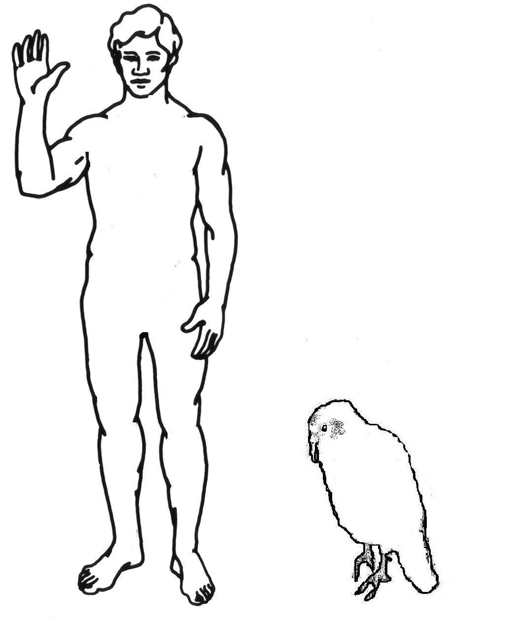 Outline Of A Man - ClipArt Best