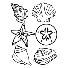 10 Wonderful Clam Coloring Pages For Your Toddler