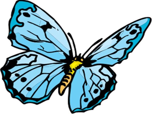 Kid, Blue butterfly and Butterflies