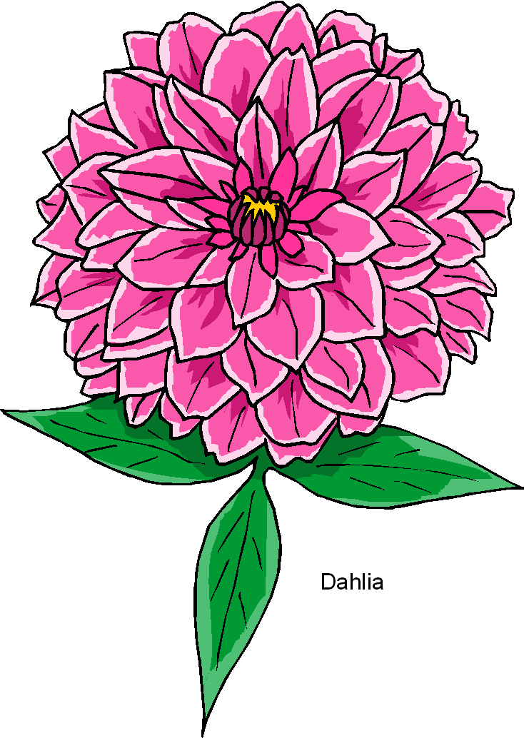 Free Flower Clipart