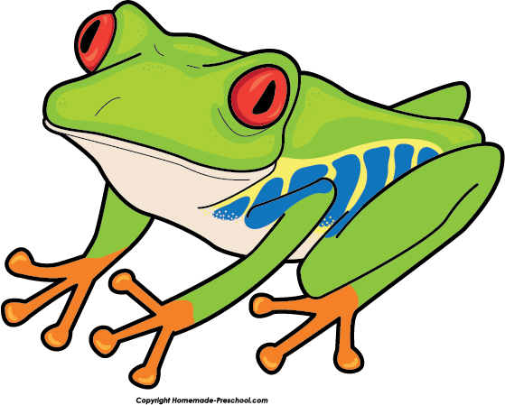 Tree Frog Free Clipart
