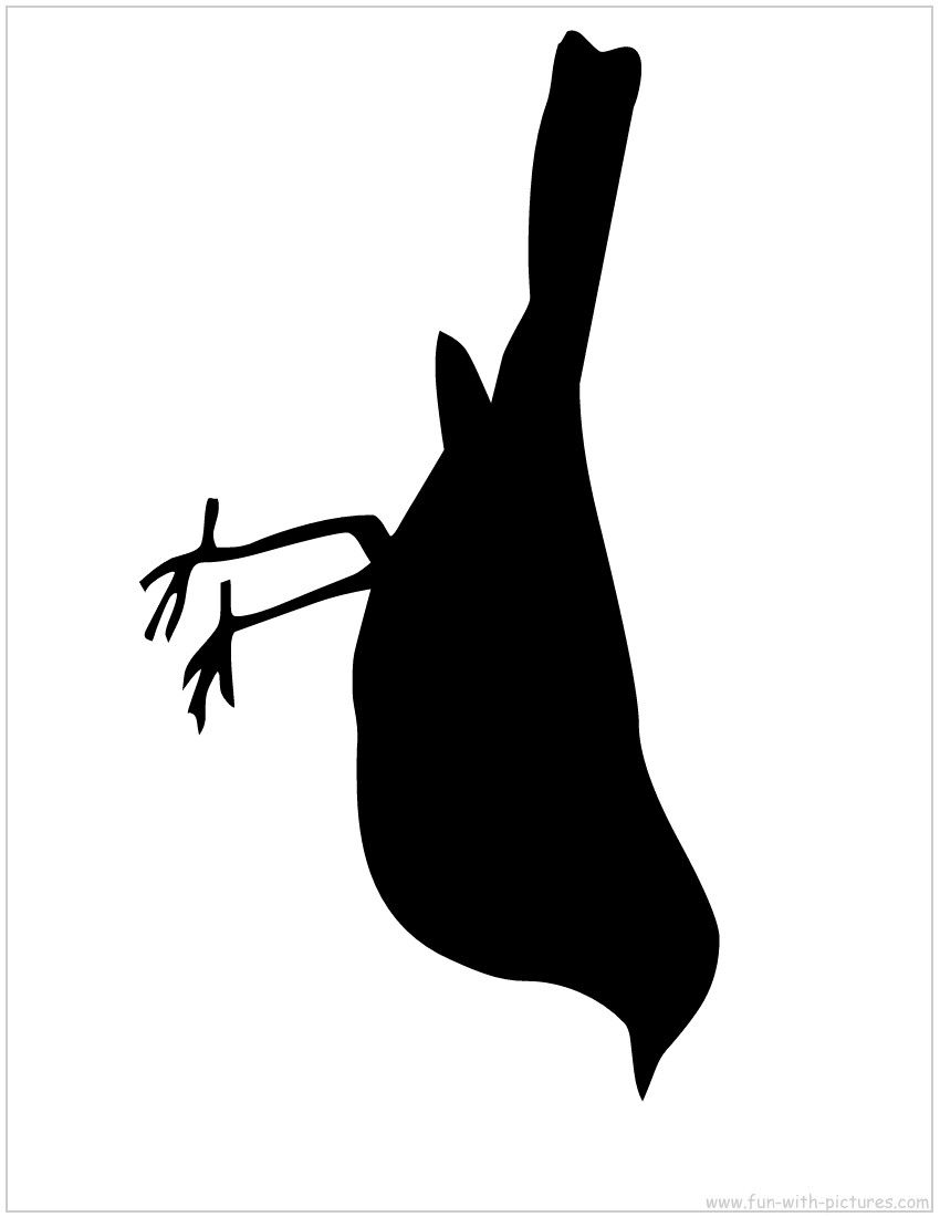 1000+ images about Birds and Silhouettes