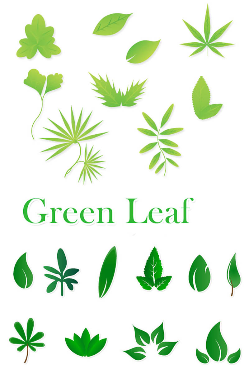 Green leaf vector | Vector Graphics Blog