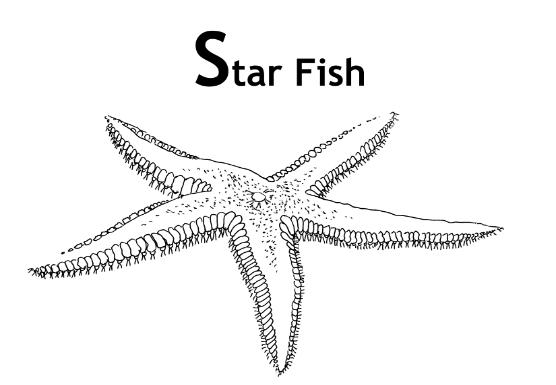 Starfish drawing