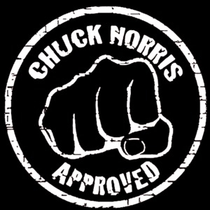 Camisetas Chuck Norris Approved