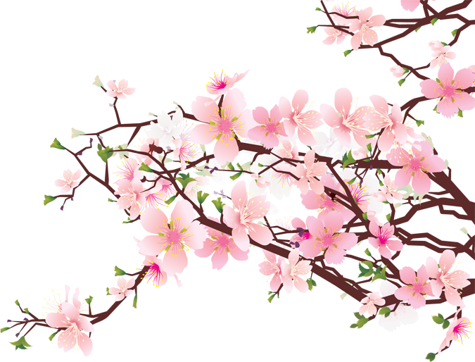 cherry blossom clip art | Cherry Blossom / Sakura | Pinterest
