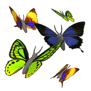 Flying Butterfly Gif_Flying Butterfly Gif Animation_Flying ...