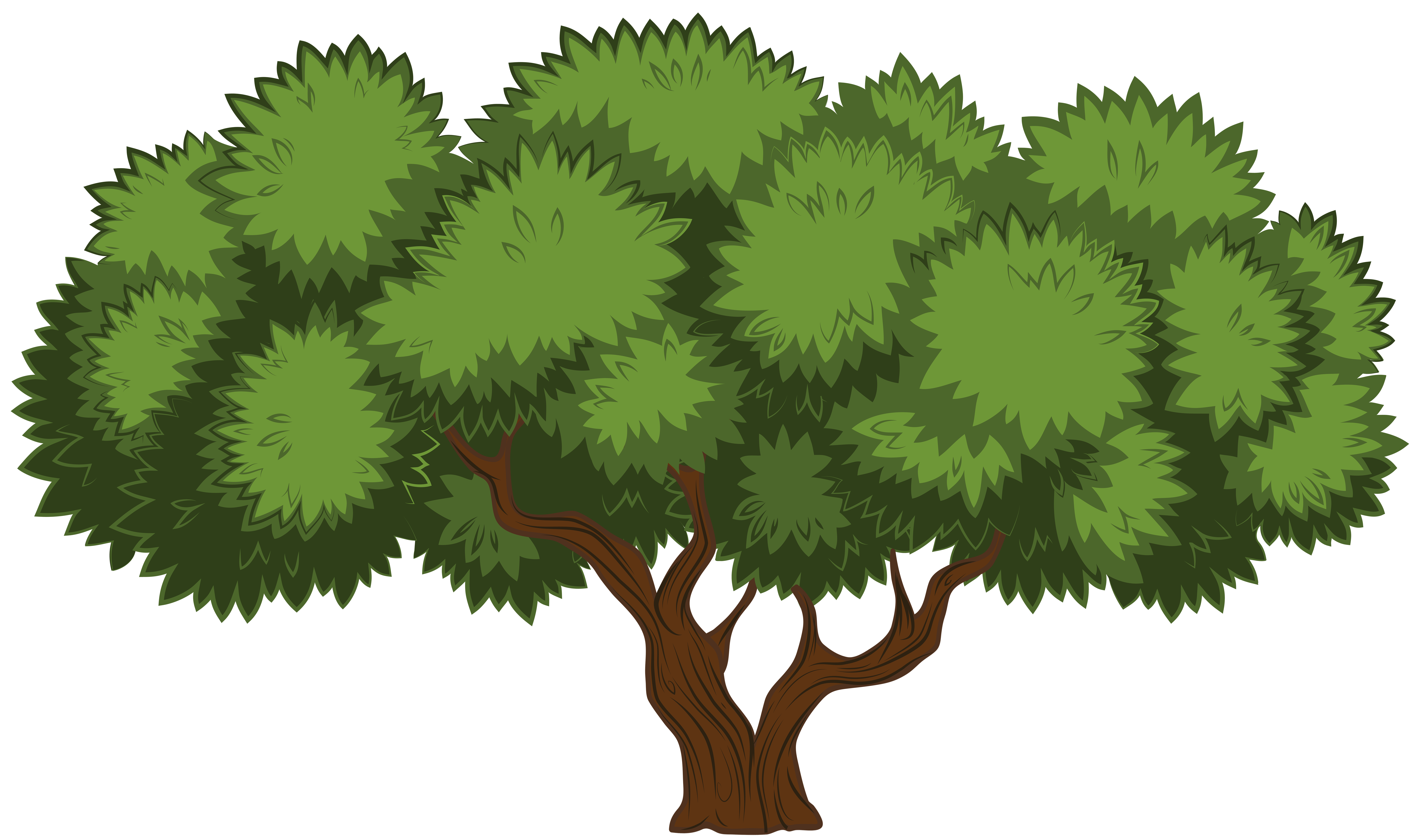 png clipart tree - photo #15