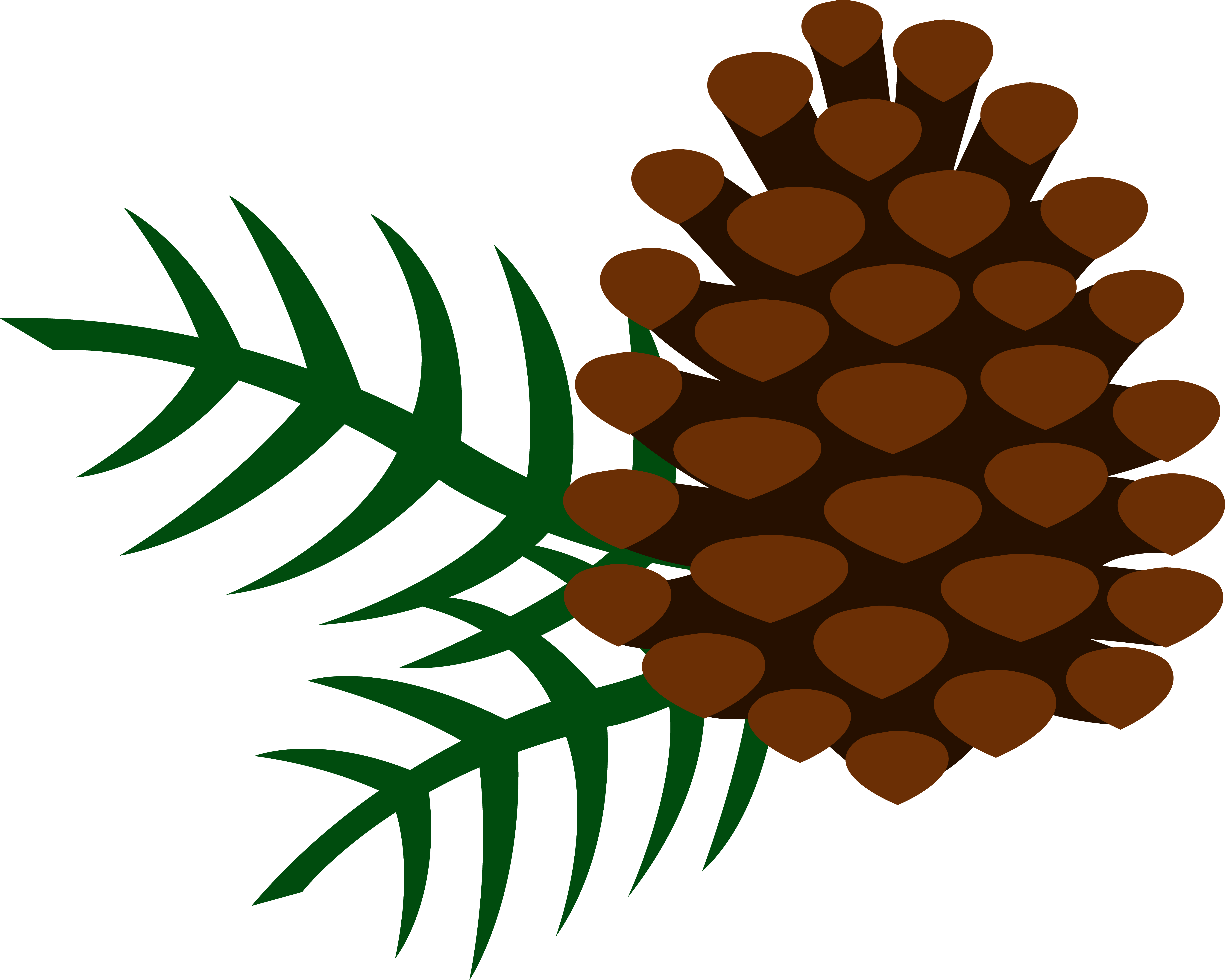 Clip Art Pine Cone - Free Clipart Images
