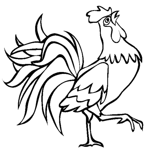 Drawing Of Rooster - ClipArt Best